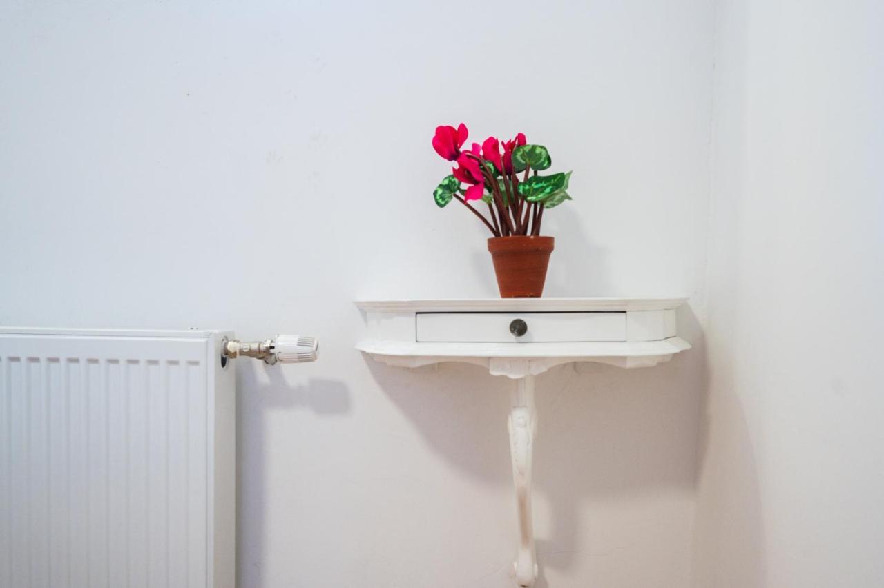 Spacious And Bright 2Bdr Apartment In The Old Town Сараєво Екстер'єр фото